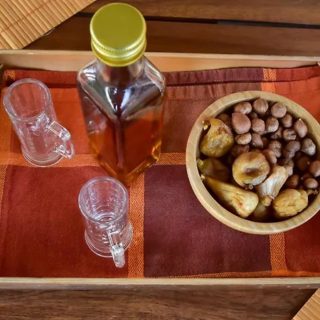 Pensjonat Dolores Roč