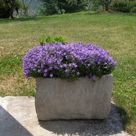 Dolores Vendégház Roč