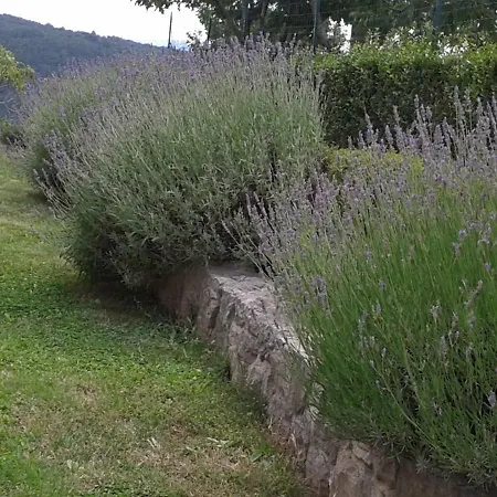 بيت ضيافة Dolores 3*